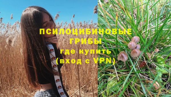 марки lsd Бронницы