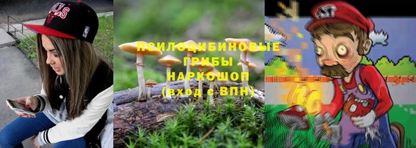 mix Бородино