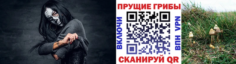 Галлюциногенные грибы прущие грибы  Меленки 