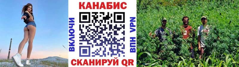 Шишки марихуана марихуана  Меленки 